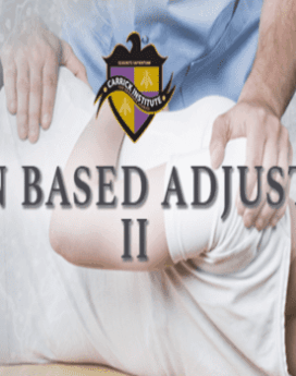 Brain-Based Adjusting II (716) By Carrick Institute