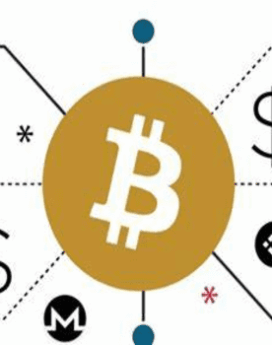 Cryptonera Pro Course - Cryptonera