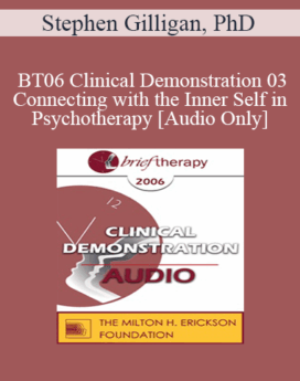 [Audio Only] BT06 Clinical Demonstration 03 - Connecting with the Inner Self in Psychotherapy - Stephen Gilligan, PhD