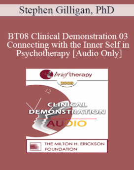 [Audio Only] BT08 Clinical Demonstration 03 - Connecting with the Inner Self in Psychotherapy - Stephen Gilligan, PhD