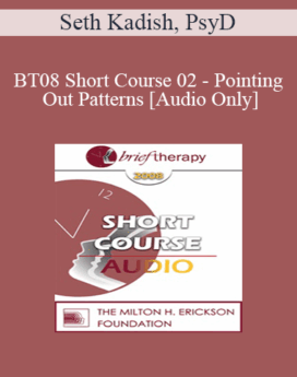 [Audio Only] BT08 Short Course 02 - Pointing Out Patterns - Seth Kadish, PsyD