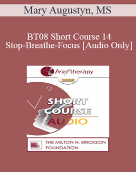 [Audio Only] BT08 Short Course 14 - Stop-Breathe-Focus: A Tool for Self-Management - Mary Augustyn, MS