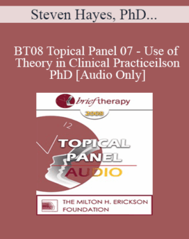 [Audio Only] BT08 Topical Panel 07 - Use of Theory in Clinical Practice - Steven Hayes, PhD, Stephen Karpman, MD, Matthew Selekman, MSW, R. Reid Wilson, PhD