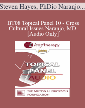 [Audio Only] BT08 Topical Panel 10 - Cross-Cultural Issues - Steven Hayes, PhD, Jeffrey Kottler, PhD, Mary Goulding, MSW, Claudio Naranjo, MD