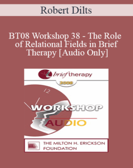 [Audio Only] BT08 Workshop 38 - The Role of Relational Fields in Brief Therapy - Robert Dilts