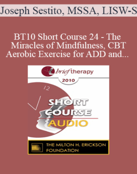 [Audio] BT10 Short Course 24 - The Miracles of Mindfulness, CBT and Aerobic Exercise for ADD and Depression - Joseph Sestito, MSSA, LISW-S
