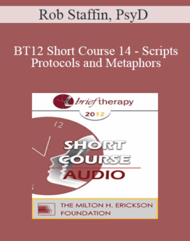 [Audio] BT12 Short Course 14 - Scripts, Protocols and Metaphors: Discovering the Power Within the Clinician - Rob Staffin, PsyD