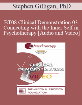 [Audio and Video] BT08 Clinical Demonstration 03 - Connecting with the Inner Self in Psychotherapy - Stephen Gilligan, PhD