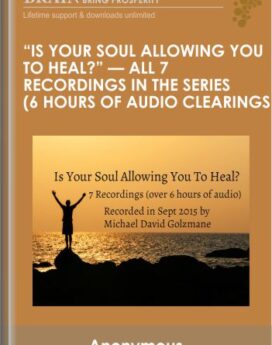 "Is Your Soul Allowing You To Heal?" -- All 7 Recordings in the Series (6 Hours of Audio Clearings)