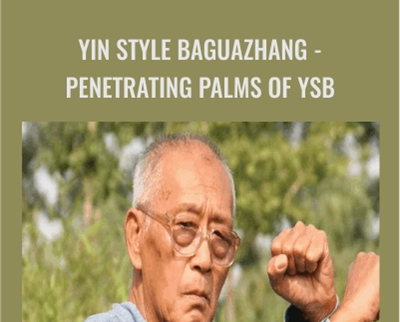 Yin style Baguazhang - Penetrating Palms of YSB - Liu Shichang