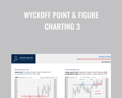 Wyckoff Point & Figure Charting 3 - Bruce Fraser & Roman Bogomazov