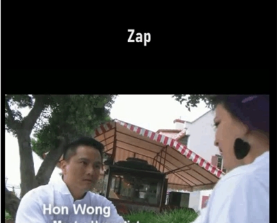 Zap - Hon Wong and Gordon Fang-Wong